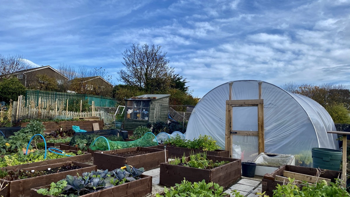 Allotment plot with a polytunnel